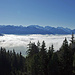 Blick in die Berner Alpen