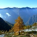 Colori d'autunno in Val Verzasca