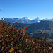 Herbstfarben und Berner Gipfel