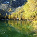 Grüner Schimmer im Wasser
