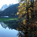 Spiegelung