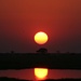 Sonnenuntergang, Chobe River, Botswana