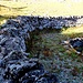 Ancien réservoir vers le Croue