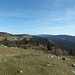 Au Mont Salâ