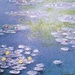 <b>Si deve a Claude Monet (1840-1926), maestro dell'impressionismo francese, l'aver saputo rendere nel modo più appropriato la bellezza del lamineto, un ambiente acquatico nel quale i vegetali hanno foglie galleggianti sulla superficie di acque stagnanti o con lenta corrente.</b>