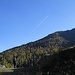 Nei pressi di Malga Bordolona di Sotto