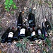...il vino....