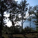 luci sul lago