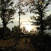 luci sul lago
