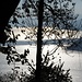 luci sul lago