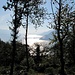 luci sul lago