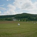 Der Altenberg / Alteberg (530m) von Norden.