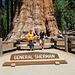 Sequoia National Park - Am General Sherman Tree. Hier wollen alle Besucher ein Foto. Bei einem solchen Hintergrund und nach einer derart "entbehrungsreichen" Wanderung (siehe vorherige Fotos ;-) auch verständlich. 2/3 von uns haben es nach einigen Minuten in einer Warteschlange ganz nah heran an den größten Baum der Erde (nach dem  Holzvolumen) geschafft.