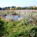 an einem Hochmoor vorbei