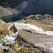 Le variazioni sul tema "acqua"