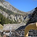 Dall'Alpe di Compiett (1516m)