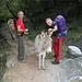 Che trio.............
