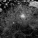  Giochi di luce b\n