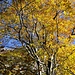 Herbst.