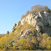 Bockshorn am Thüster Berg oberhalb Salzhemmendorf, ein altes Steinbruchgelände