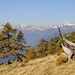 welch eine Herbststimmung - und Ausblick auf den Alpen-Hauptkamm!