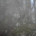 Nebel