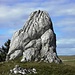 Kalkbrocken (Walfisch)