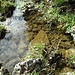 Wasser