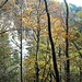 Herbst
