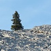 Kalkimpression......sieht fast aus wie im Winter ;o)