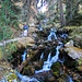 Am reizvollen Sentier des Cascades I