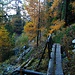 Am reizvollen Sentier des Cascades IV