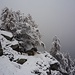 Einzigartige Winterstimmung beim Abstieg nach Piano del Vald