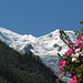 Dôme du Goûter and Mont Blanc as seen from Chamonix