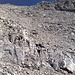 Westhang der Moserkarspitze: sehr splittrig und rutschig