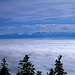 Endloses Nebelmeer vor den Berner Alpen