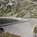 Alpine ibex on the dam