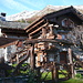 alpe cortevecchio