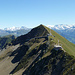 Das Brienzer Rothorn - wahrlich mächstigster Berg seiner Gruppe.
Hier oben tobt der Bär.
PS: wer mehr über die Gipfel wissen möchte [http://www.hikr.org/gallery/photo644528.html?post_id=41345#1 hier]
