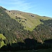 Das weite Plateau der Alp Siegel, links der Frosler