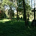 Der ehemalige Friedhof von Magyarbükkös (Ungarisch-Bieling). Das Maisfeld rechts liegt bereits in Österreich.