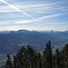 Blick durch die Latschen in die Tuxer Alpen