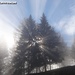 Wunderschöne Sonne-Nebel-Impressionen