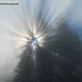 Wunderschöne Sonne-Nebel-Impressionen oder einfach nur zur richtigen Zeit am richtigen Ort ;-)
