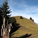 Der grasige, kreuzlose Gipfel des Cyprianspitz (1774m)