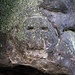 Arnstein, Felsritzung, Gesicht - Alter, Herkunft und Bedeutung sind unbekannt