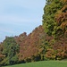 schöne Herbstfarben am Waldrand oberhalb Teufen