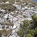 Ankunft auf dem Südhang mit Steinmann im Hintergrund