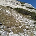 Blick vom Wilden-Bande-Steig zur Aufstiegsrichtung zum Südhang.