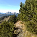 Blick zum Schoenalm